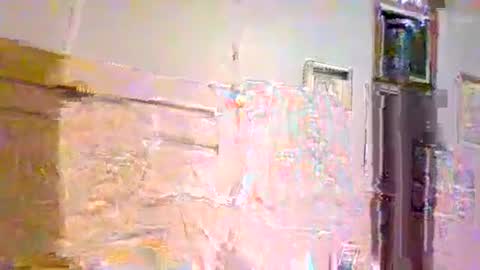 007_springer online show from 03-23-26, 09:57