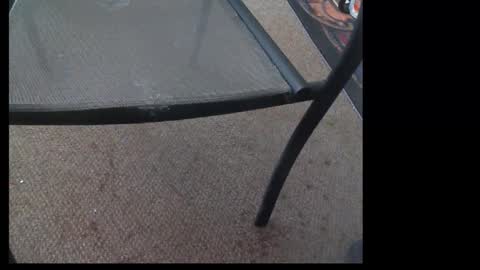 10mm_socket online show from 09-29-25, 01:33