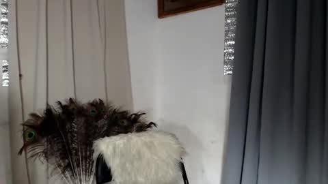 barbie online show from 02-08-26, 01:58