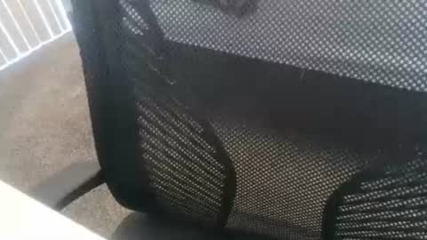 1chris505 online show from 01-02-25, 06:01