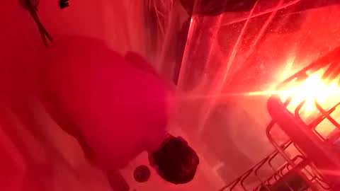 1knightluver69 online show from 03-31-26, 08:59