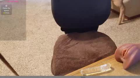 Snapshot of 2tiredoftoys chatting on 11-15-25, 11:32 2tiredoftoys online show from 11-15-25, 11:32