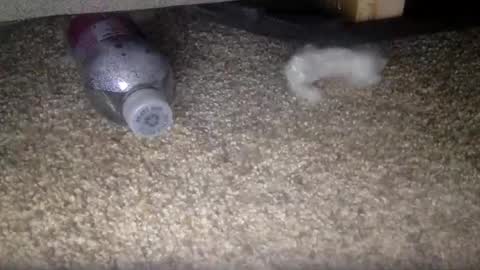 30nick online show from 02-10-26, 04:16