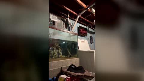 33adidas online show from 03-19-26, 08:18