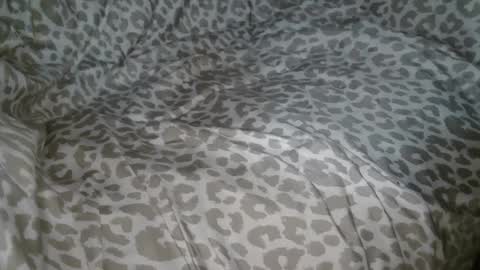 Phil online show from 09-23-25, 01:41