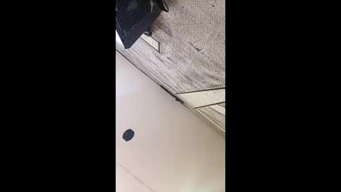 3X NAXAA online show from 03-03-26, 01:17