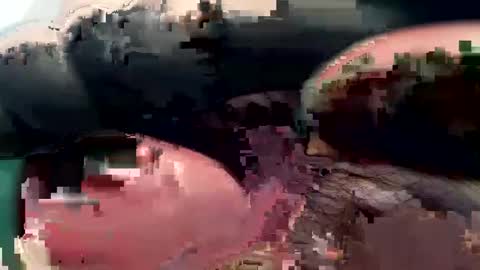 Snapshot of 420_johnnystamina chatting on 02-15-25, 04:45 420_johnnystamina online show from 02-15-25, 04:45