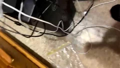 Snapshot of 420bbwadmirer chatting on 01-04-25, 03:17 420bbwlover online show from 01-04-25, 03:17