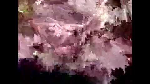 Snapshot of 4kbrandon2fck chatting on 01-30-25, 04:55 Kyle Brandon online show from 01-30-25, 04:55