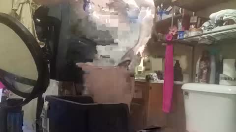 Snapshot of 4kbrandon2fck chatting on 10-12-25, 04:39 Kyle Brandon online show from 10-12-25, 04:39