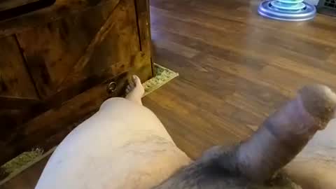 Snapshot of 5tone_bon3 chatting on 01-20-25, 07:04 5tone_bon3 online show from 01-20-25, 07:04