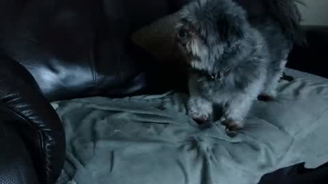 Snapshot of 66bear chatting on 12-22-24, 11:00 66bear online show from 12-22-24, 11:00