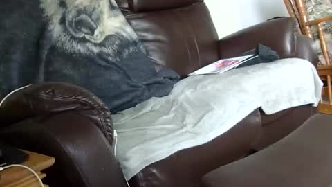 Snapshot of 66bear chatting on 12-14-25, 03:28 66bear online show from 12-14-25, 03:28