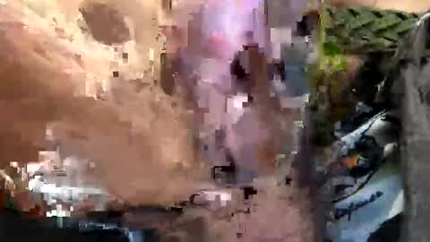 6990fiko online show from 09-29-25, 09:47