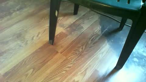 69forever453443 online show from 11-19-25, 01:22