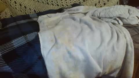 Snapshot of 69sextoyboy69 chatting on 12-11-24, 11:08 69sextoyboy69 online show from 12-11-24, 11:08