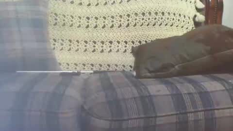 Snapshot of 69sextoyboy69 chatting on 01-25-25, 03:41 69sextoyboy69 online show from 01-25-25, 03:41