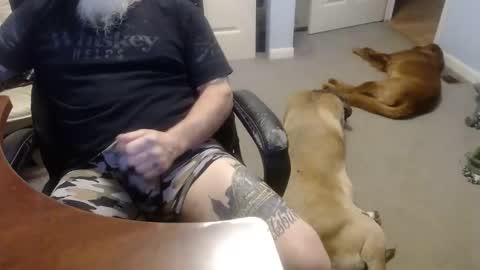 Snapshot of 70paborn chatting on 10-13-25, 05:02 MASTIFF online show from 10-13-25, 05:02