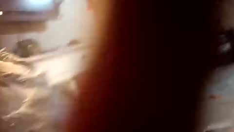 Snapshot of 7lairddip chatting on 10-06-25, 03:59 7lairddip online show from 10-06-25, 03:59