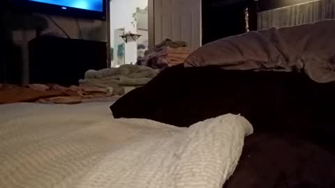 7lairddip online show from 03-30-26, 06:36