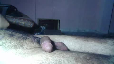 Massive hungry cock online show from 06-05-26, 07:58