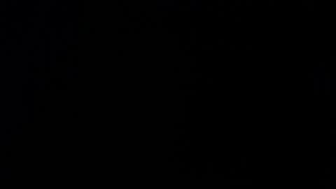 Alexa online show from 11-26-25, 11:55