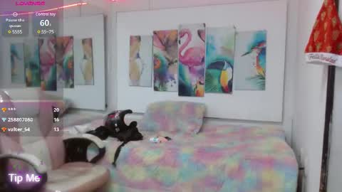 _alegriamartinez_ online show from 02-19-25, 09:58