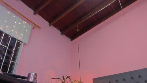 Snapshot of _aline_hall chatting on 02-07-25, 11:12 Alline Hall online show from 02-07-25, 11:12