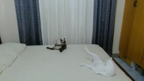 Amber online show from 02-03-25, 05:03