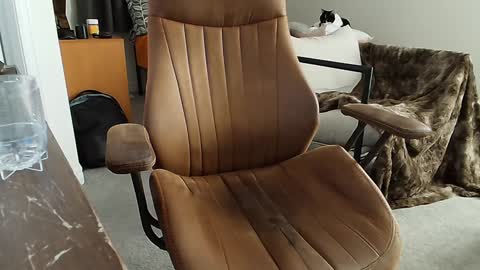 _black_lotus online show from 02-02-25, 01:34