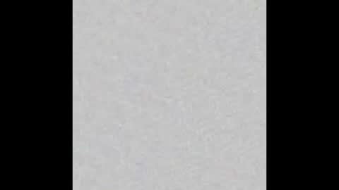 Brenda online show from 01-25-25, 11:44