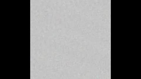 Brenda online show from 01-28-25, 11:49