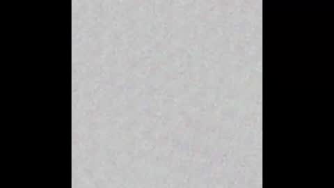 Brenda online show from 01-29-25, 12:45