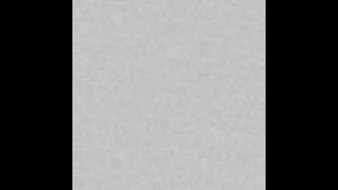 Brenda online show from 02-17-25, 12:48