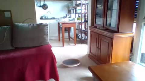 Snapshot of _bubble_buttfunxxx chatting on 10-11-25, 09:41 _bubble_buttfunxxx online show from 10-11-25, 09:41