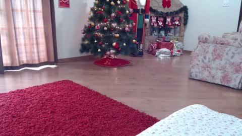 candygirl online show from 01-15-25, 05:58