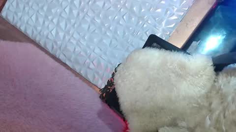 Caroline online show from 01-19-25, 01:55