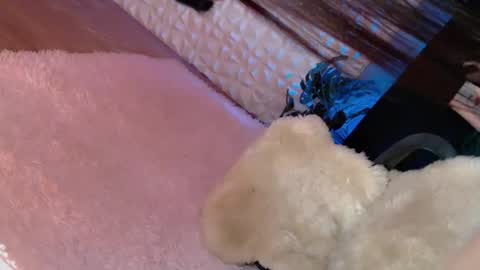 Caroline online show from 03-08-25, 06:32