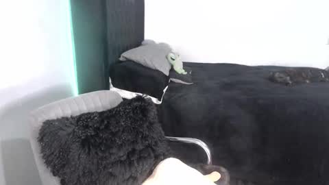 Snapshot of _ergo_proxy chatting on 09-25-25, 02:15 Proxy online show from 09-25-25, 02:15