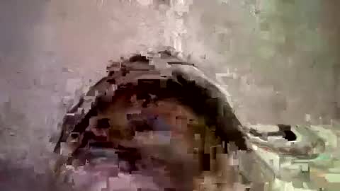 _hershey003 online show from 01-11-25, 08:33