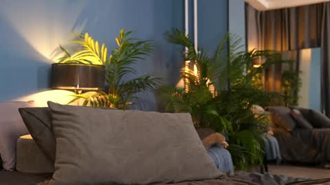 FANSLY ---   anal in private 700 tokens online show from 11-01-25, 11:29