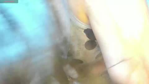 Mily online show from 02-15-25, 09:15