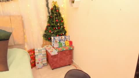 Snapshot of _little_ivy chatting on 12-14-24, 05:07 Ivy 3 online show from 12-14-24, 05:07