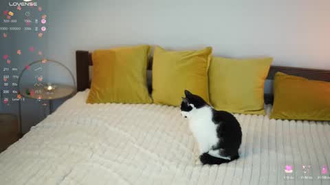 Snapshot of _million_dollarsmile chatting on 12-01-25, 12:43 _million_dollarsmile online show from 12-01-25, 12:43