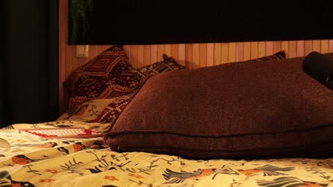 Lady Jess from house of Dragonborns online show from 01-21-25, 03:10