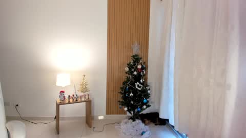 Sam   --- next stream 1 dic  food and vino show . online show from 12-28-24, 09:08