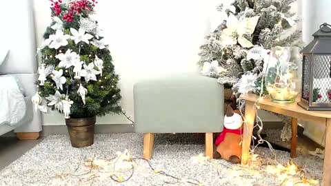 Sassy Girl online show from 12-26-24, 06:33