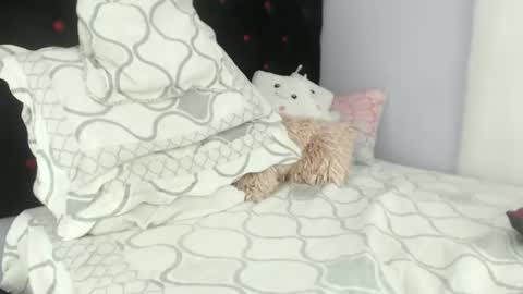 Alexa online show from 01-29-25, 06:50