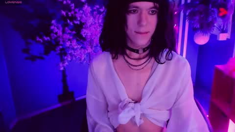 Snapshot of _shinmei_ chatting on 06-05-26, 06:52 Shin online show from 06-05-26, 06:52