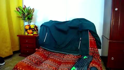 Snapshot of _skyleer_ chatting on 10-20-25, 01:28 _skyleer_ online show from 10-20-25, 01:28